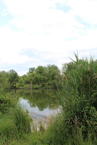 Chalet '' LE REFUGE FORESTIER ''