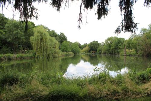 Chalet '' LE REFUGE FORESTIER ''