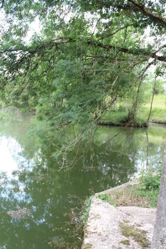 Chalet '' LE REFUGE FORESTIER ''