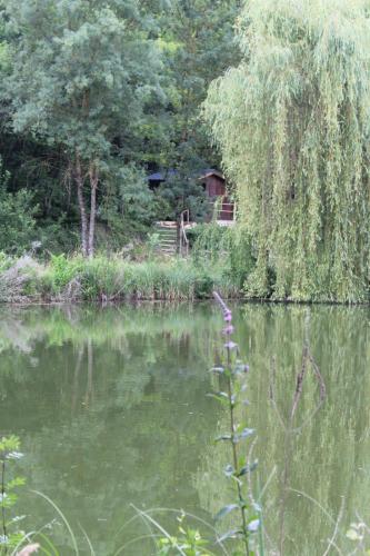 Chalet '' LE REFUGE FORESTIER ''