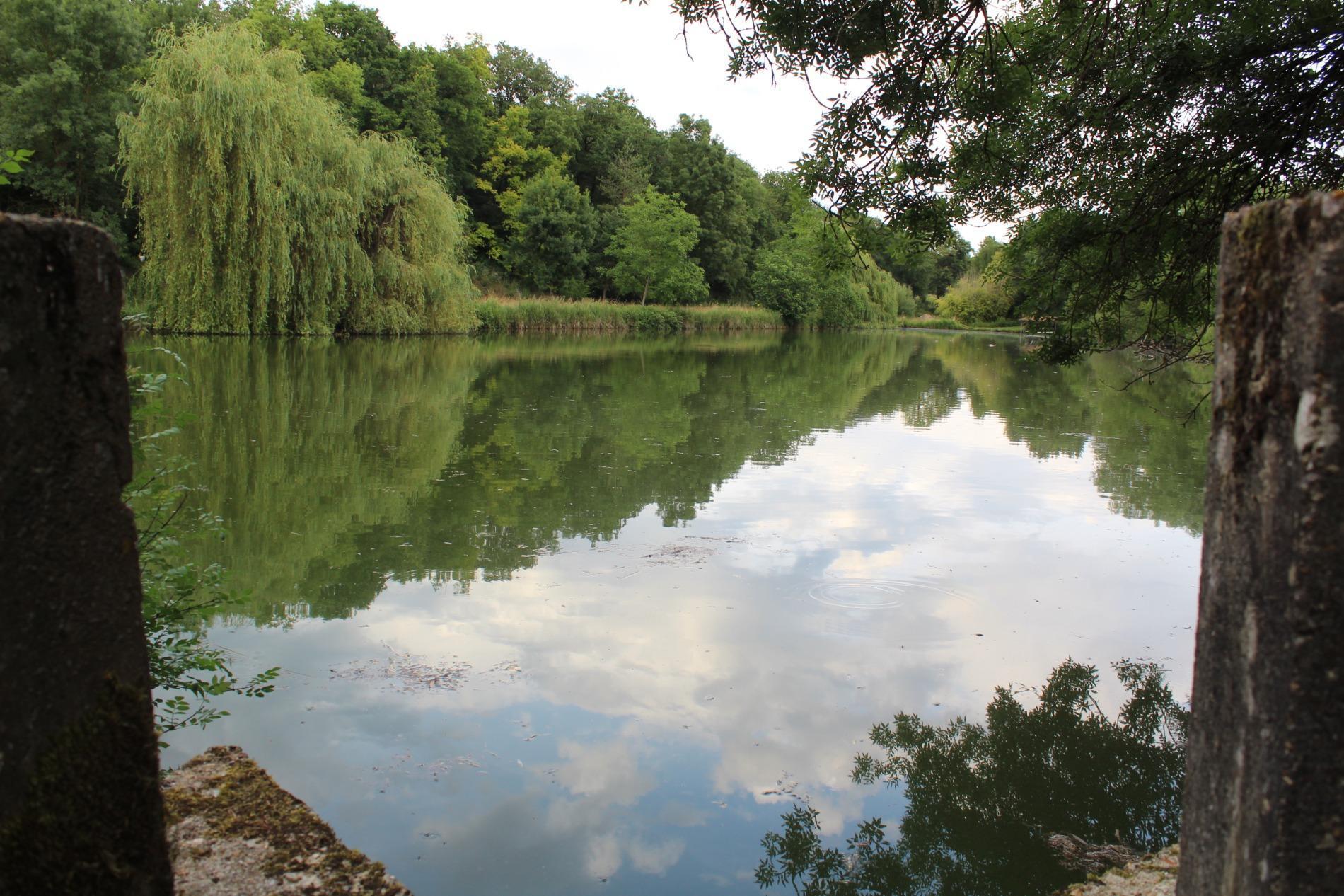 Chalet '' LE REFUGE FORESTIER ''